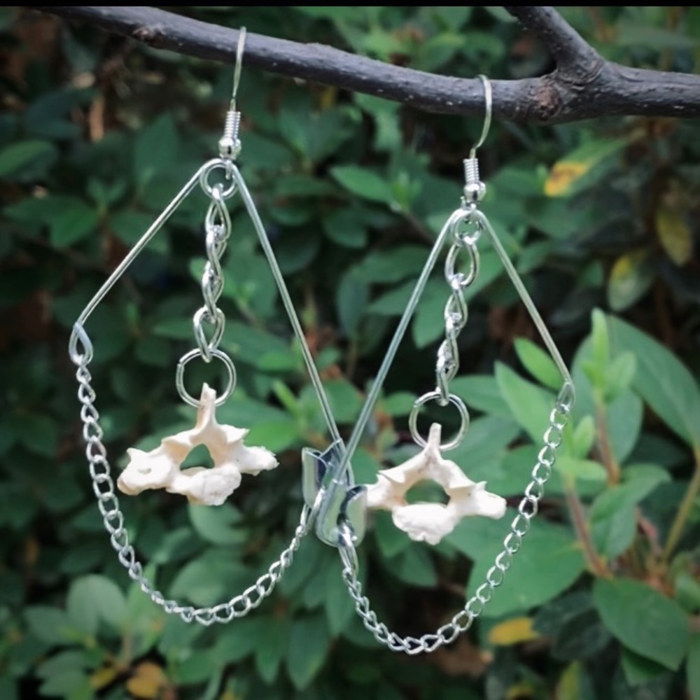 Real Possum Vertebrae Bone Safety Pin Chain Earrings